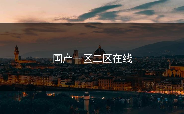 国产一区二区在线