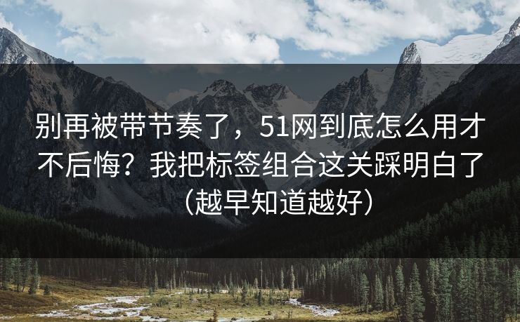 别再被带节奏了,51网到底怎么用才不后悔?我把标签组合这关踩明白了(越早知道越好) 别再被带节奏了,51网到底怎么用才不后悔?我把标签组合这关踩明白了(越早知道越好)